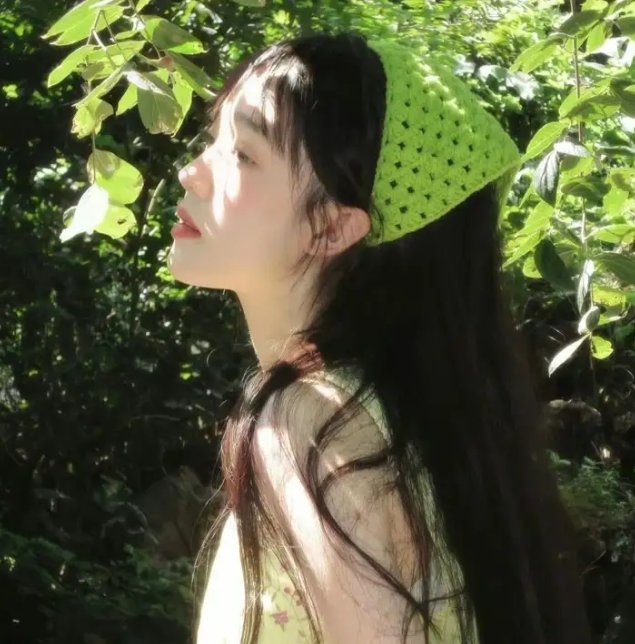 泡影昙花